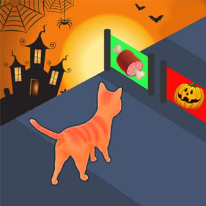 Halloween Run Cat Evolution