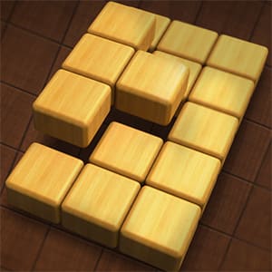 Sudoku Blocks